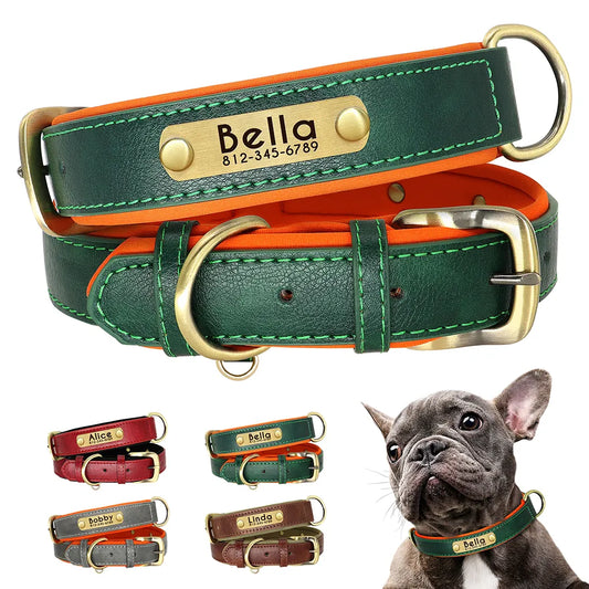 Luxury Leather ID Dog Collar