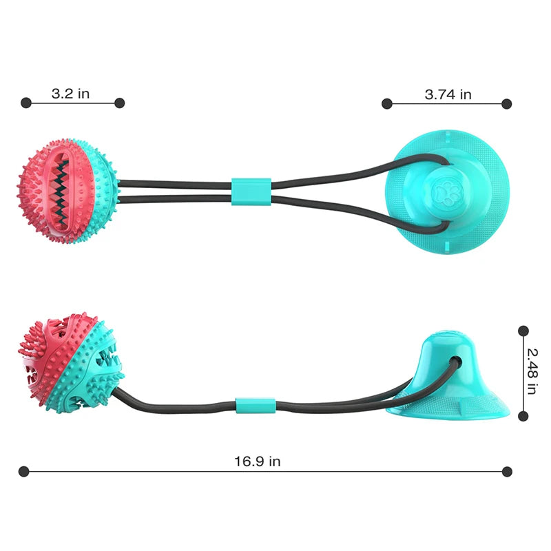 Suction Cup Interactive Chew Toy