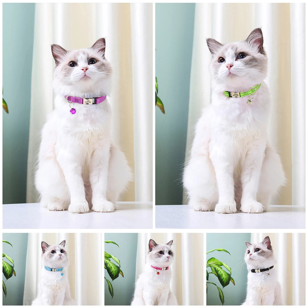 Personalized Reflective Cat Collar with Bell