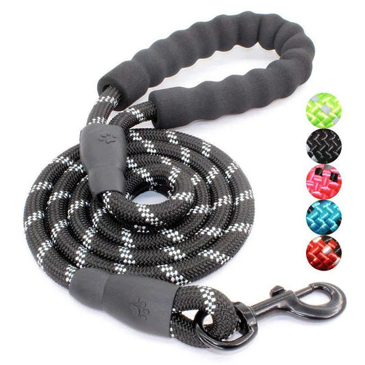 Reflective Padded Pet Leash: Comfort for All Sizes