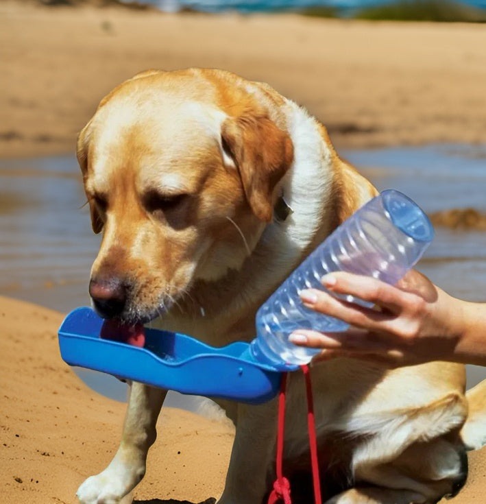 Compact 250ml Dog Water Bottle: Stay Hydrated On-the-Go!