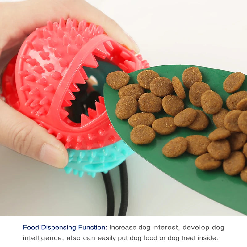 Suction Cup Interactive Chew Toy